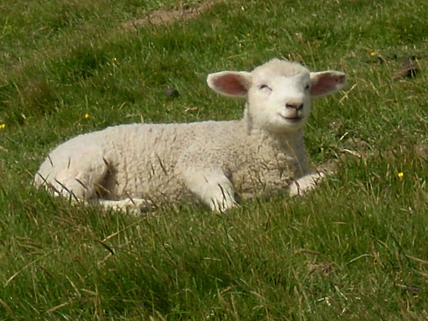 2009_05_11501549216_c34ba2ba9d_z