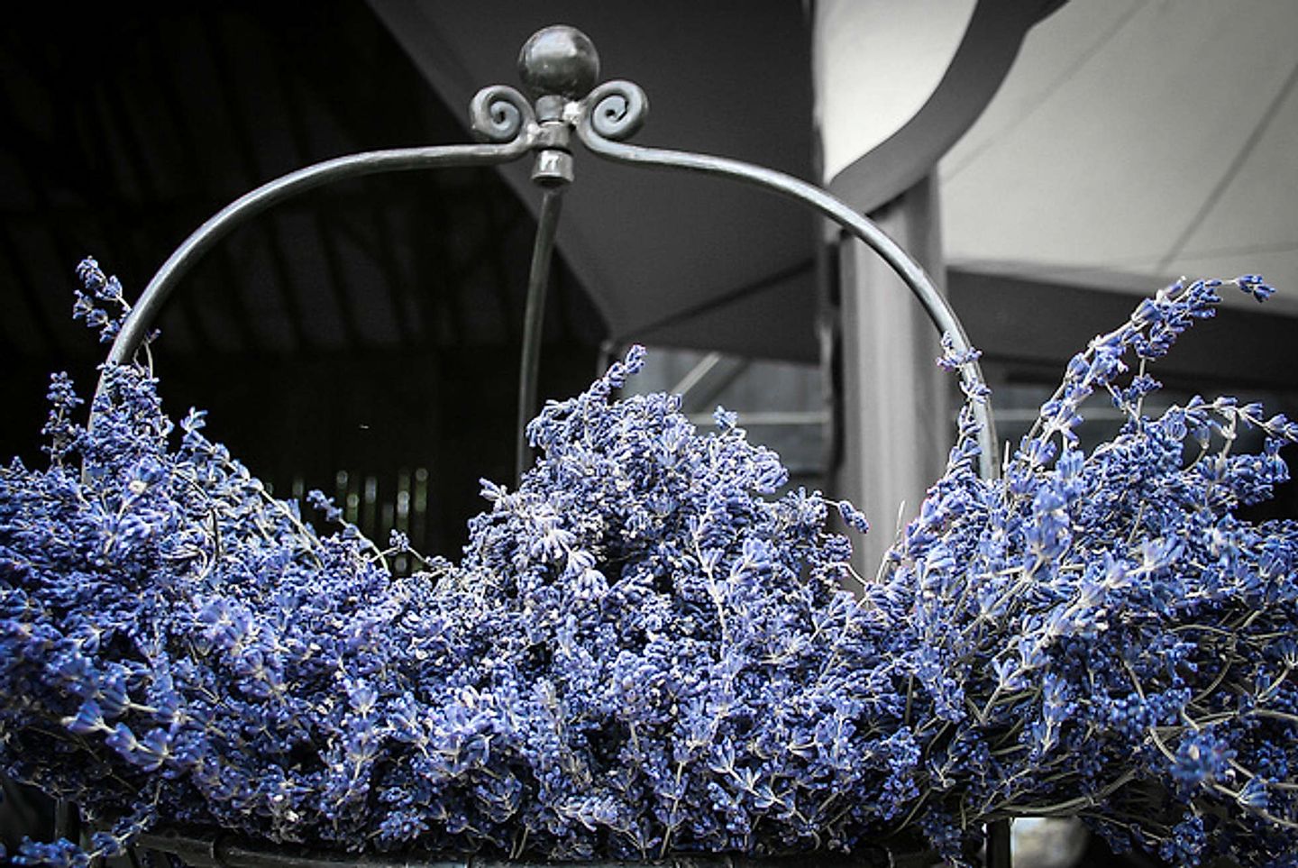 2009_05_12987491763_6a54394f92_z