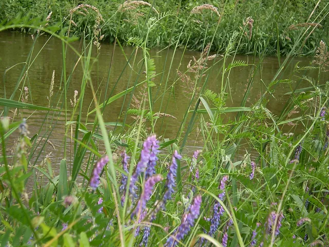 So kann es weitergehen