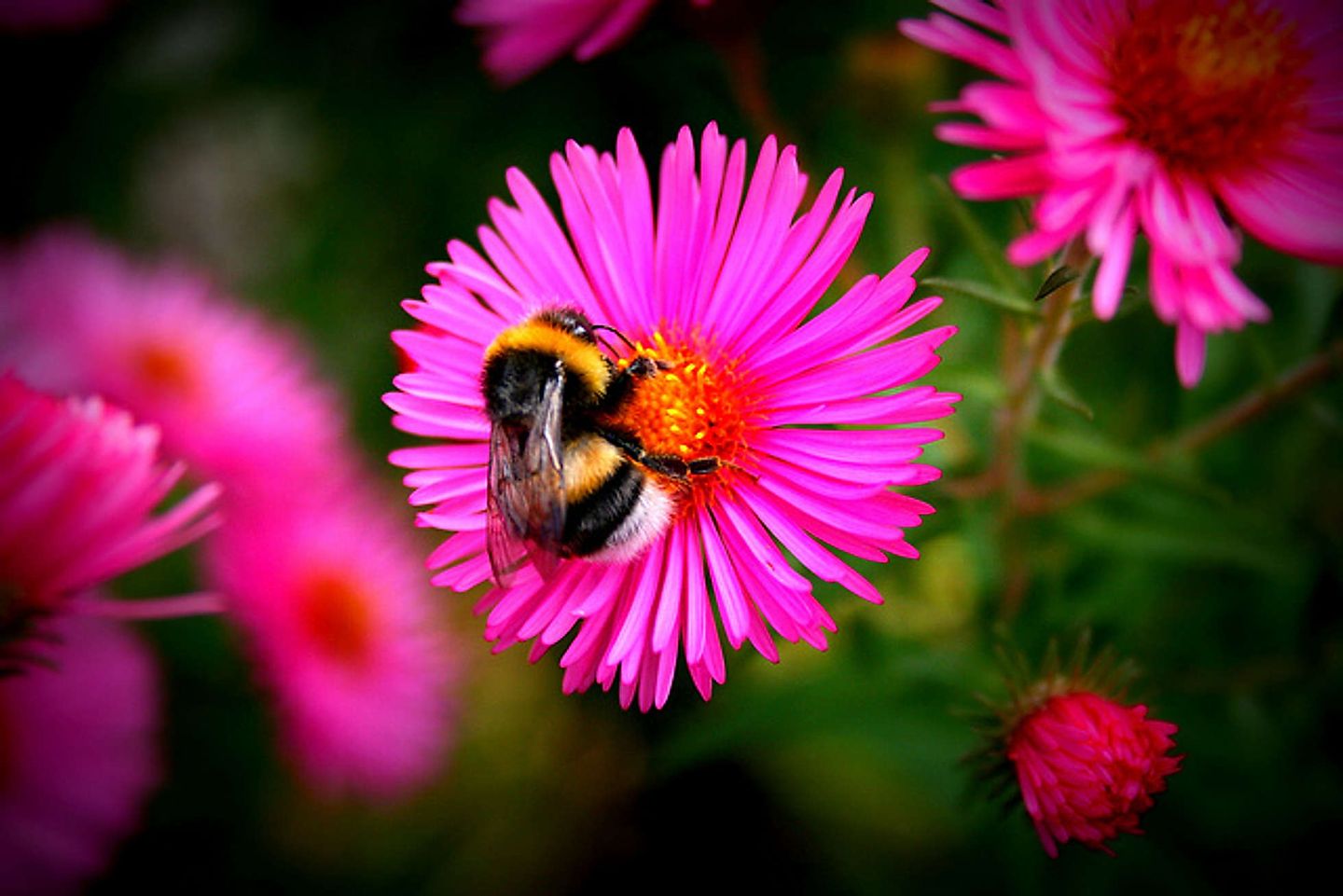 2009_09_11532110486_d88f3ef9cc_z