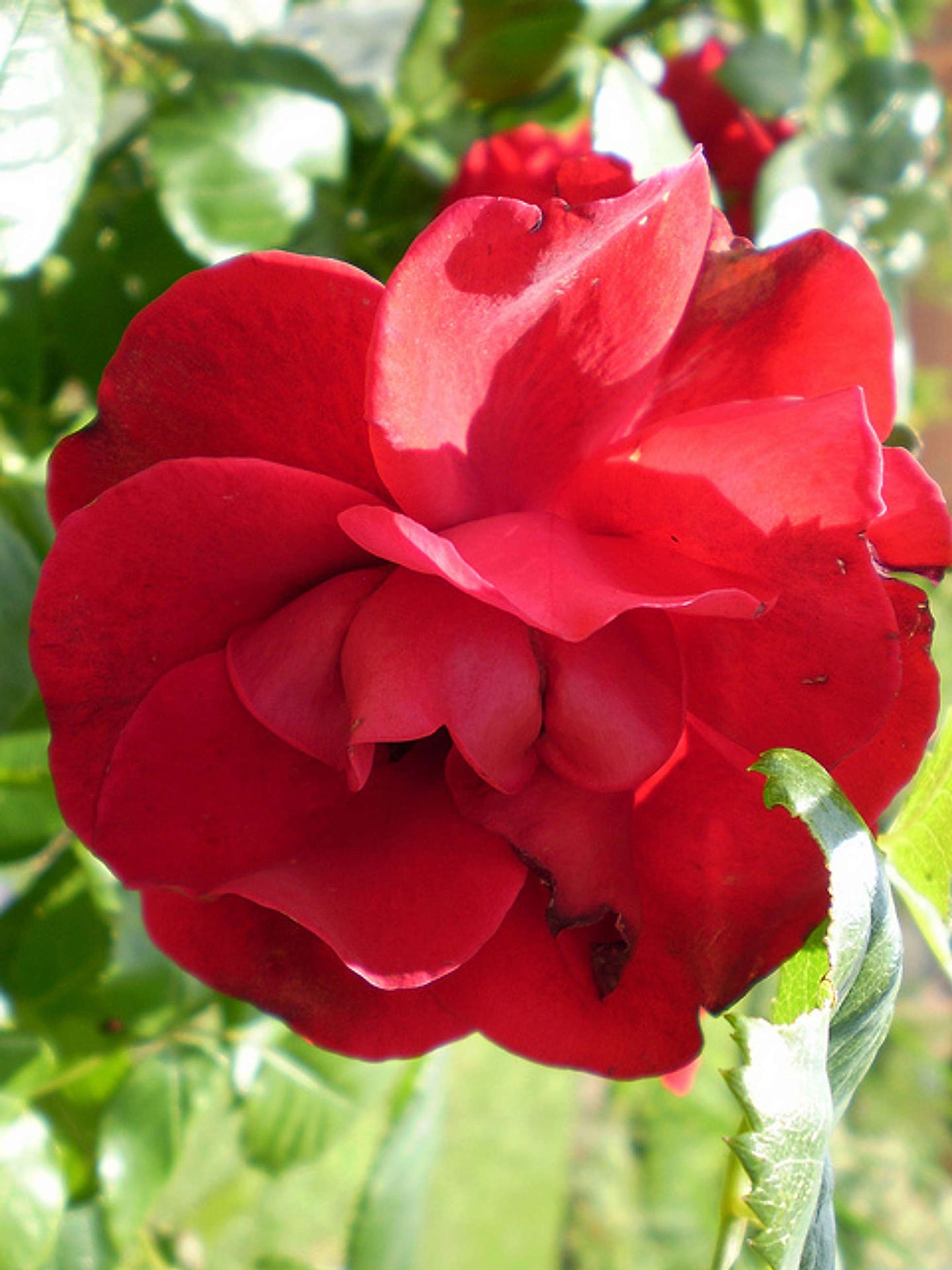 2010_03_11510981946_dbdd40b662_z