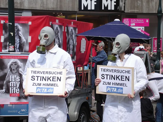 Grausame Tierversuche in der Kosmetikindustrie