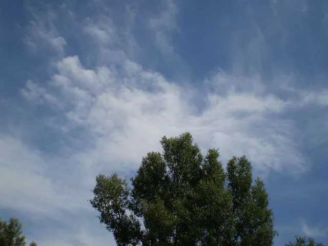 Individuell abgestimmte Lebensweisheiten