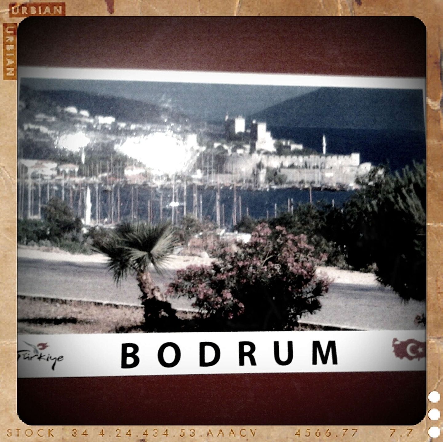 2011_10_shot_1318522744788