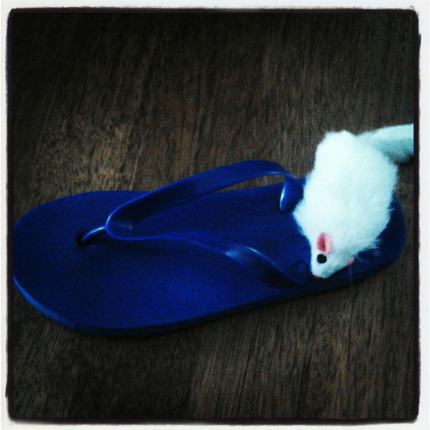 2012_05_img_20120518_095143