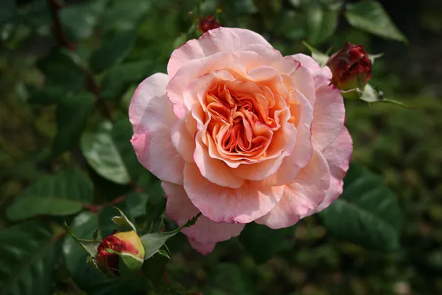 Die Sache mit den Bleistiften