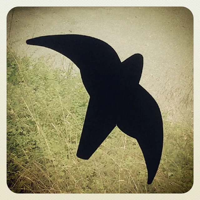 Von unbekannten Songs und sonnigen Festivals