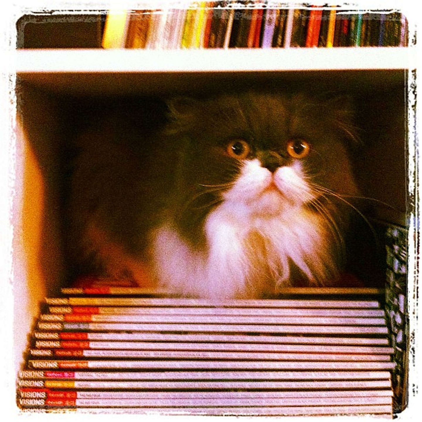 2012_10_f605c3c2059e11e2a31922000a1fbcdc_7