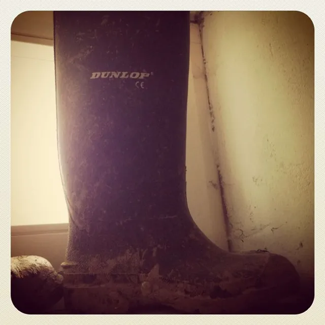 Are you ready boots?