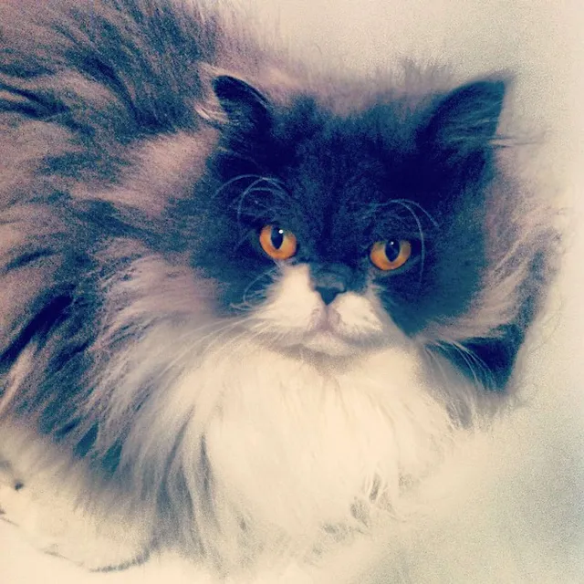 `Chili in der Badewanne`