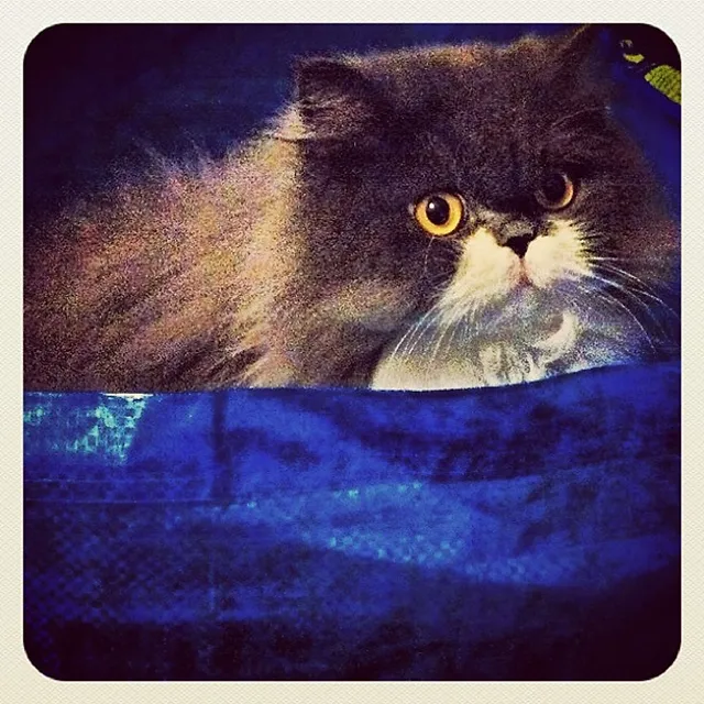 `Bringt ihr mir was mit?`