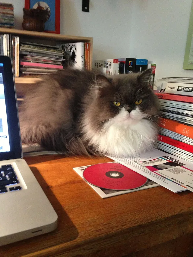 `Da war Chili noch glücklich`