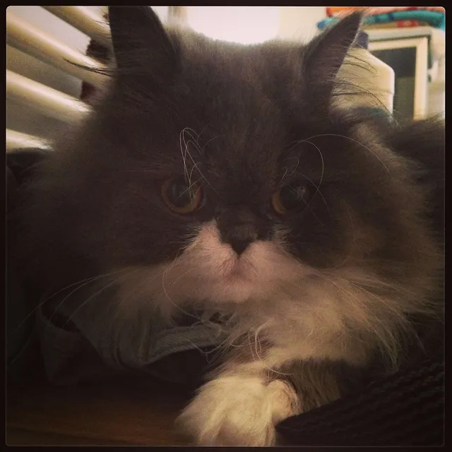 `Dieser Rock ist jetzt meiner!`