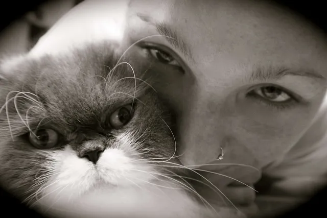 Die traurige Geschichte eines tapferen Katers