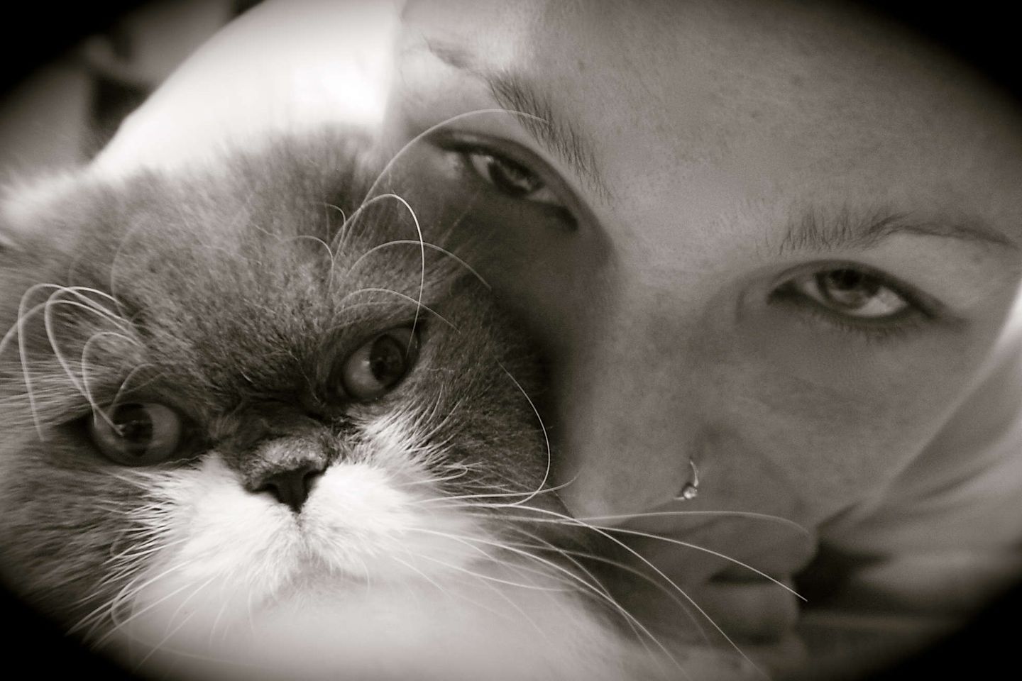 2013_09_9588574715_b8fb54fbc8_o