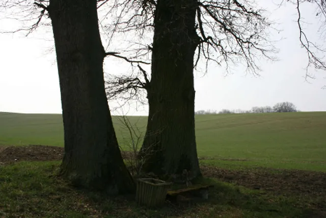 `Bild: Anne Reko 2009`