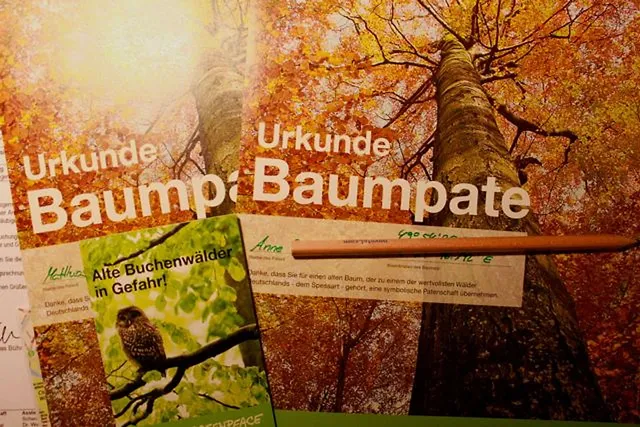 Wo bleibt eigentlich der versprochene Artikel?