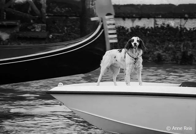 `Valentinstag in Venedig`