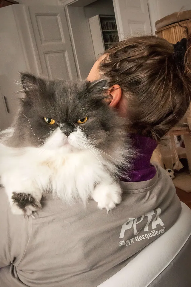 `So trage ich Pelz!`