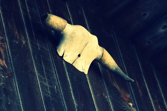 `Hinter der Wand leben die Artgenossen`