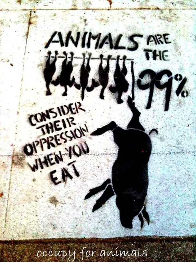 `Bild: Occupy For Animals`