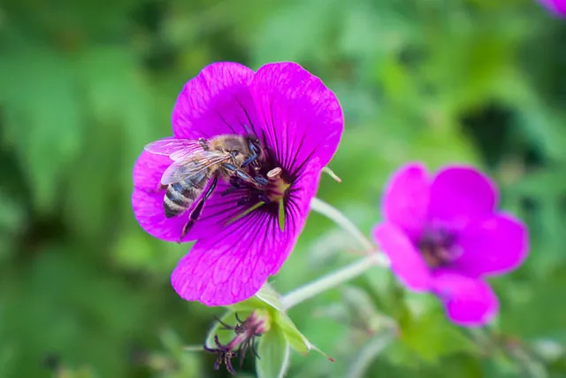 Honig? Das ist jetzt aber wirklich übertrieben, oder?