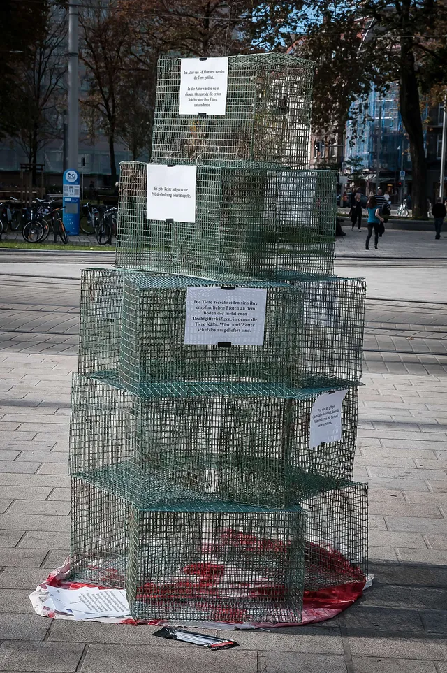 `In diesen Käfigen werden die Tiere auf den Pelzfarmen gehalten`