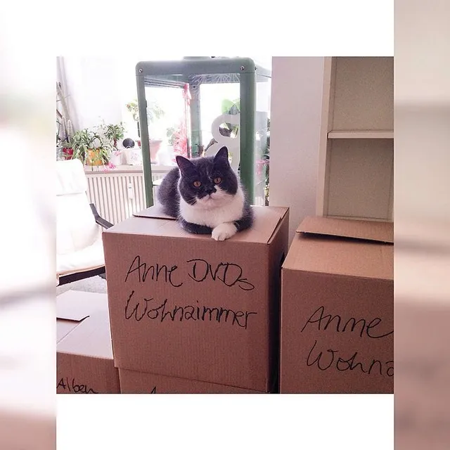 `Oskar fragt sich, was los ist`