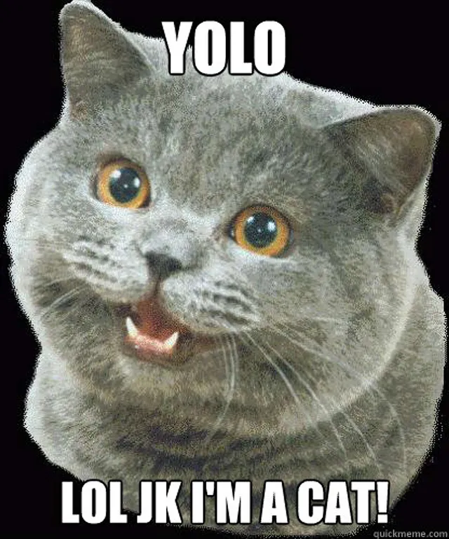 YOLO - You only live once