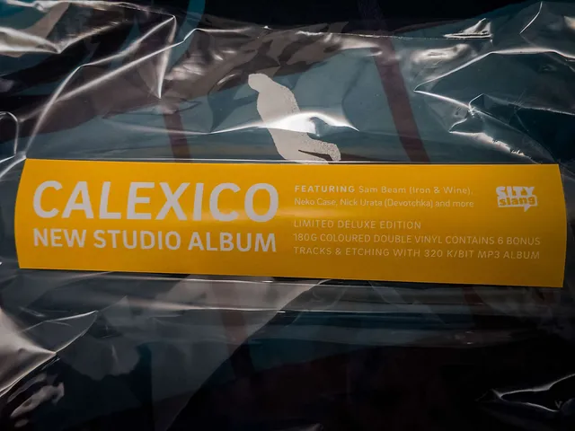 `Calexico - Edge Of The Sun`