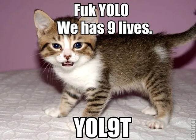 `YOLO - You only live once`