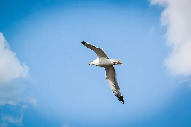 Sommer im Hamburger Hafen