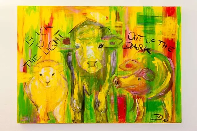 Ein Meer aus Farben für die Tiere