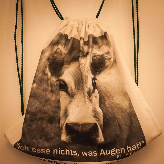 DIY Upcycling Jutebeutel-Rucksack