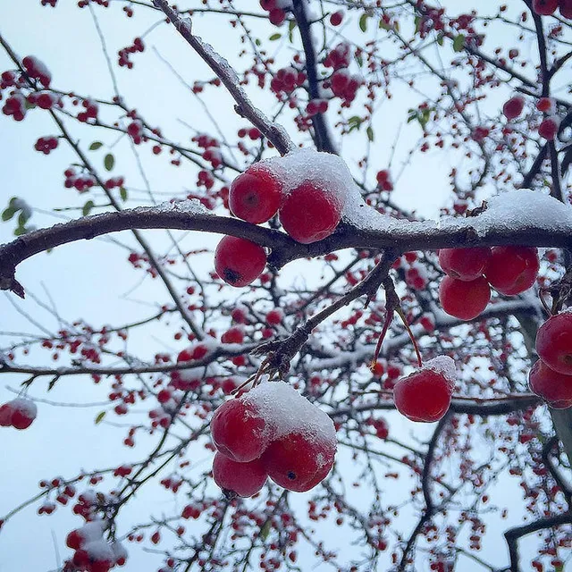 Herzlich Willkommen, Winter!