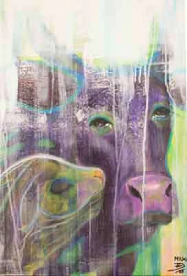 `"Milka" (Foto: Thomas Zinnecker)"Milka" (Foto: Thomas Zinnecker)`