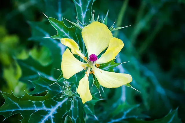 Rundgang durch die Klimazonen