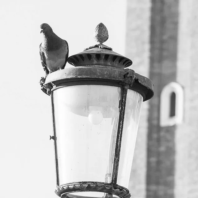 Straßenlaternen der Welt