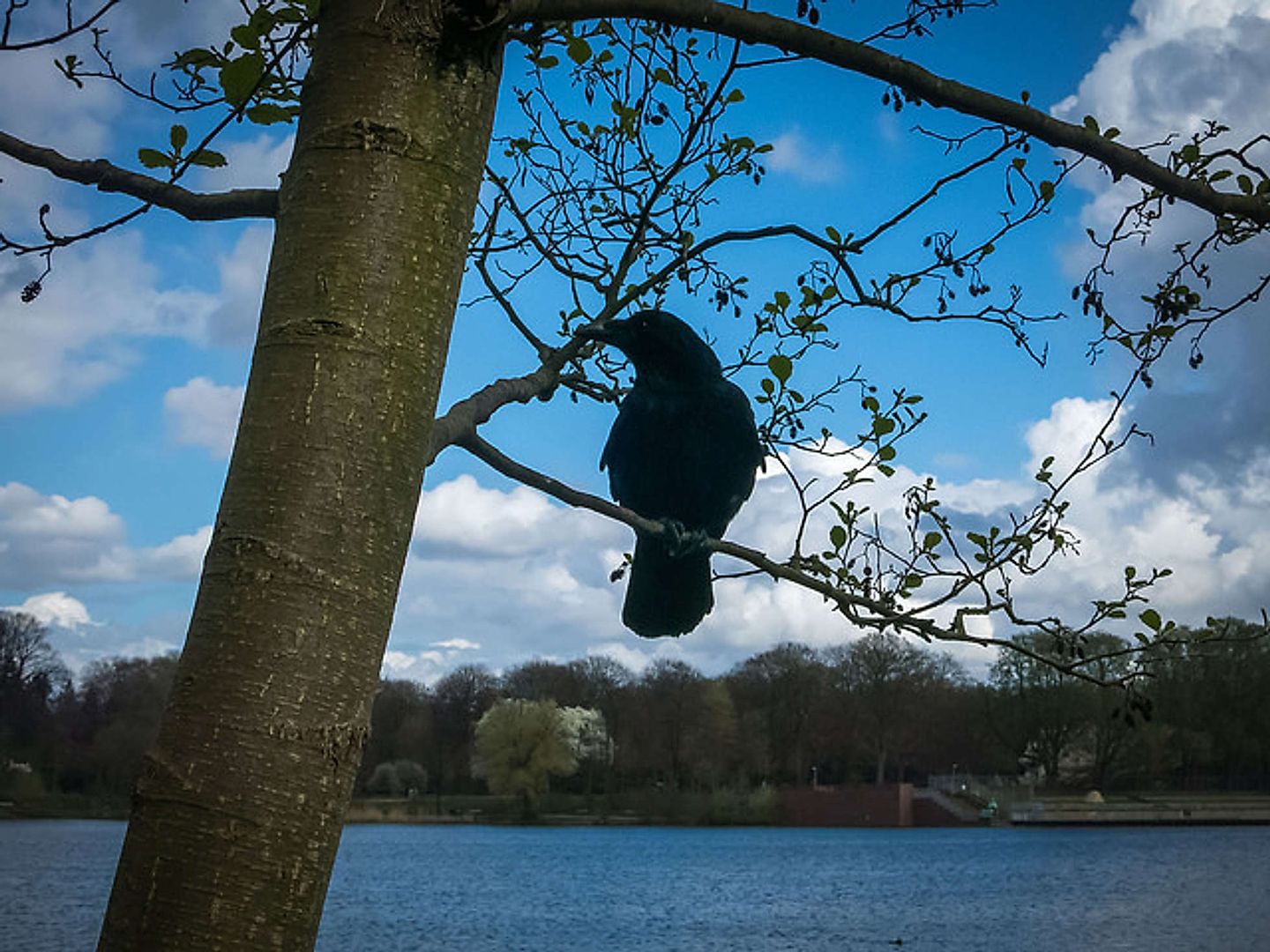 2016_05_26757799732_9e5dca204f_z