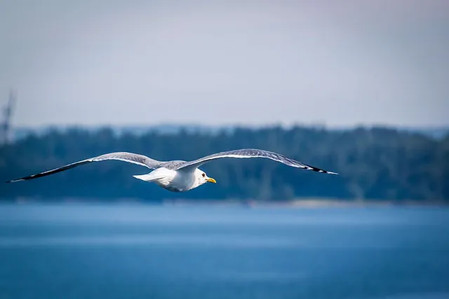 Sommer auf der Ostsee