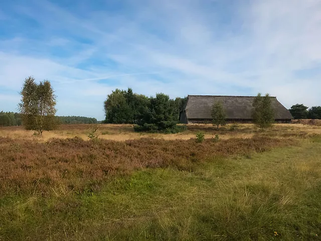 Die seltsame Stimmung der knalligen Blüten