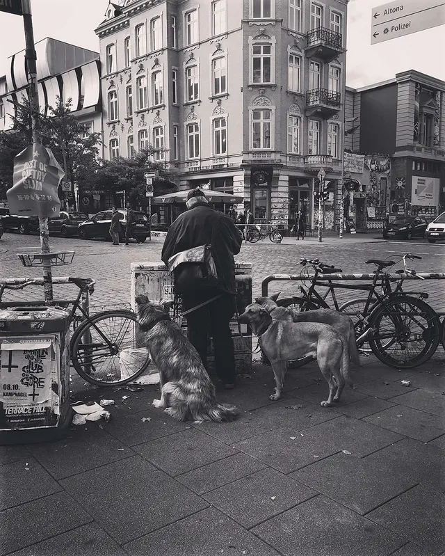 Fröhliche Weihnachten! Fröhliche Weihnachten?