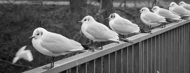 `Hamburger Bloggertreffen`