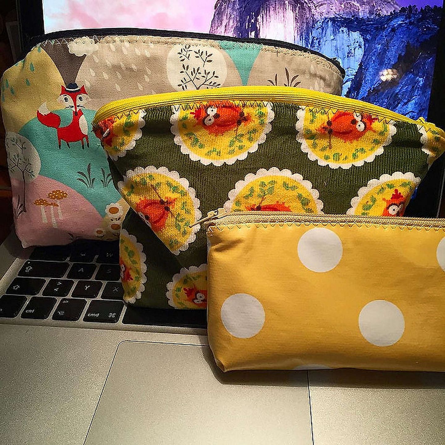 2017_02_21416200943_1a882db08d_z