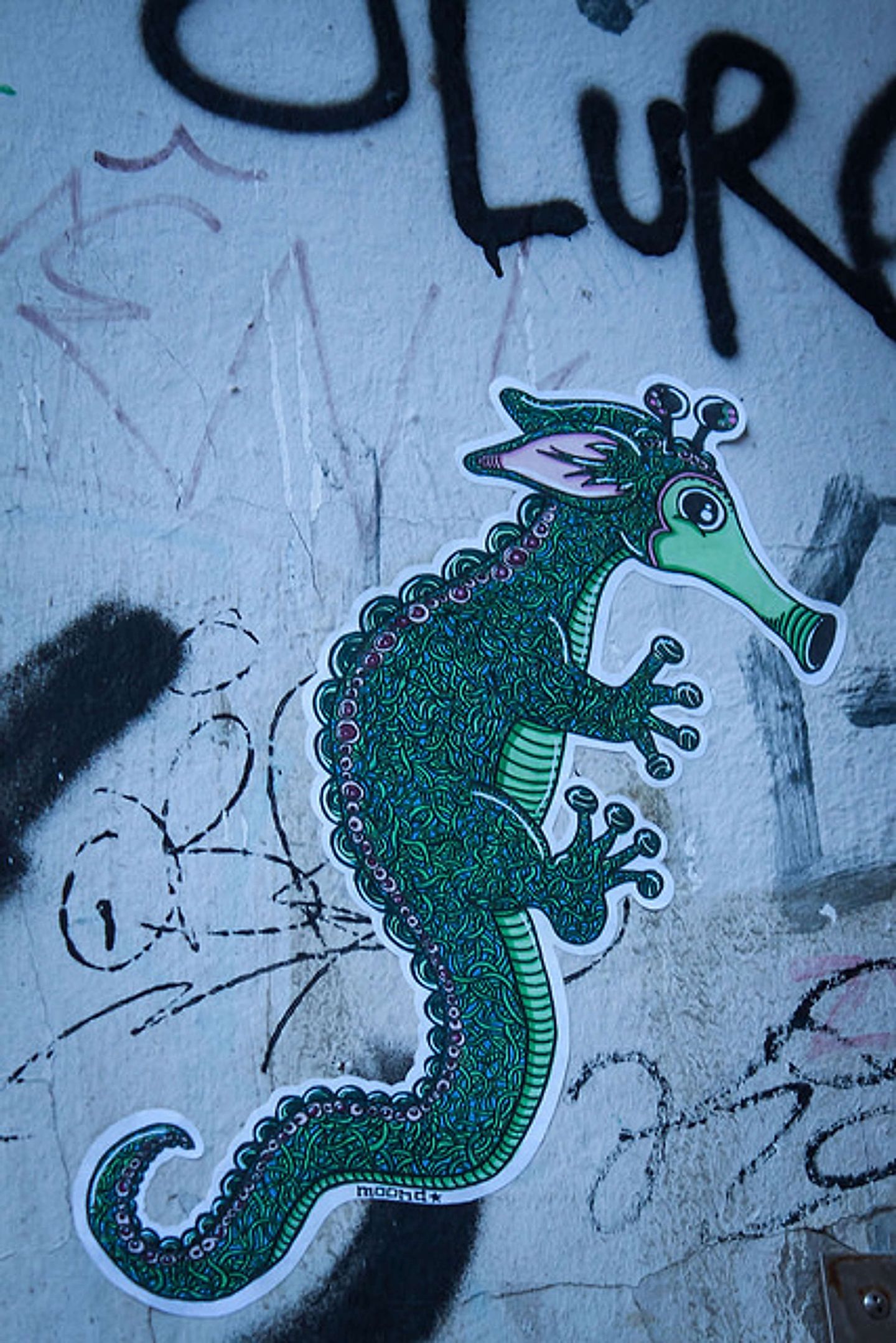 2017_02_32345142146_c0da19b3ce_z