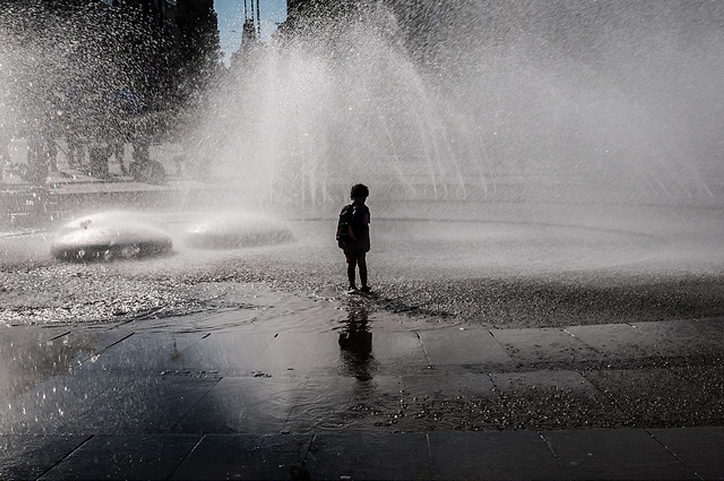 2017_03_11153925974_fe91f672d3_z