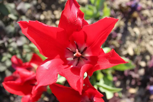 `schönes Wochenende`