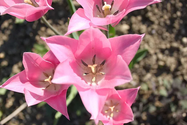 Ein schönes Wochenende