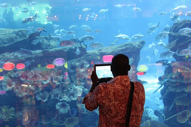 Der Internationale Weltwassertag 2017