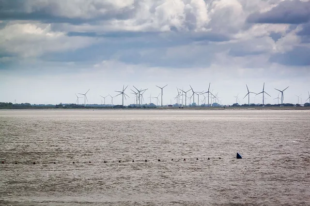urgewald informiert: Alternative Banken